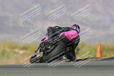 media/Feb-04-2023-SoCal Trackdays (Sat) [[8a776bf2c3]]/Turn 9 Backside (145pm)/